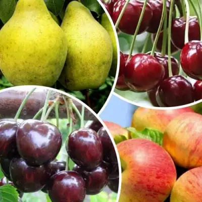 Комплект НАСЛАЖДЕНИЕ в Калинковичах