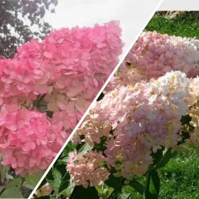 Комплект МНОГОГРАННОСТЬ в Калинковичах