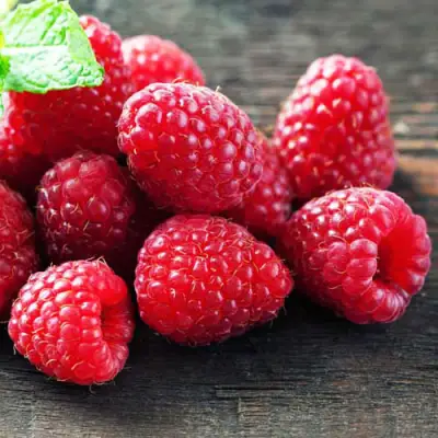 Малина ЭРИКА в Калинковичах