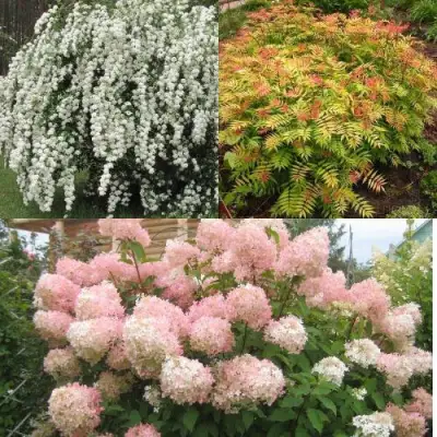 Комплект ФЕЙЕРВЕРК ЛЕТА в Калинковичах