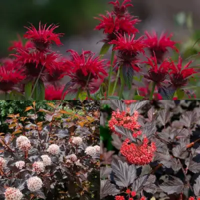 Комплект ОГНЕННЫЙ МИКС в Калинковичах