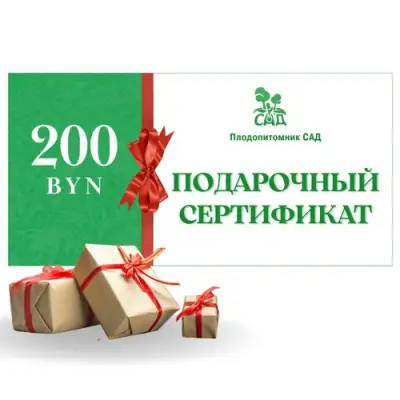 Подарочный сертификат на 200 BYN в Калинковичах