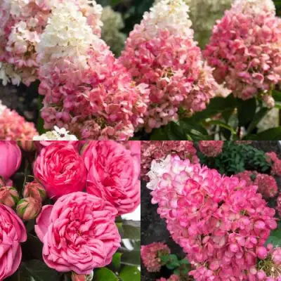 Комплект МАЛИНОВЫЙ ДЕСЕРТ в Калинковичах