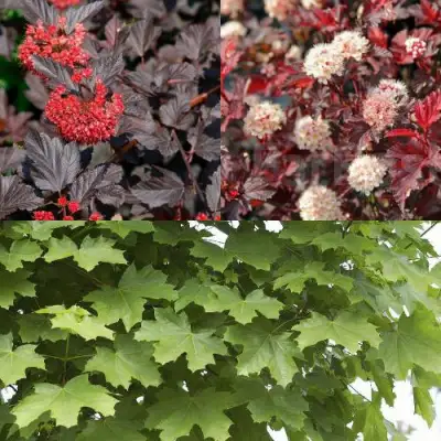 Комплект ОСЕННИЙ КОСТЕР в Калинковичах