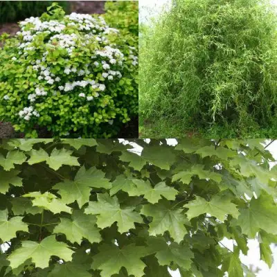 Комплект ЗЕЛЕНЫЙ ОАЗИС в Калинковичах