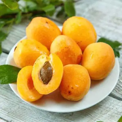 Абрикос АНАНАСНЫЙ в Калинковичах