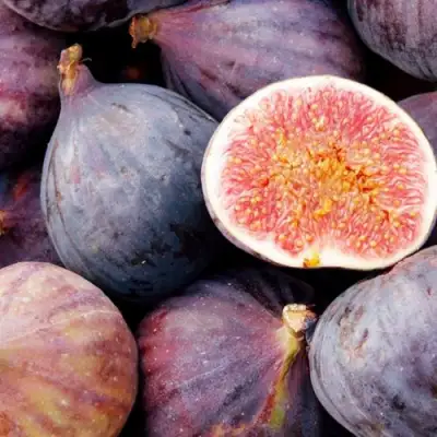 Инжир МУАССОН в Калинковичах