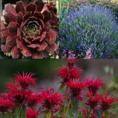 Комплект ФИОЛЕТОВОЕ ВДОХНОВЕНИЕ в Калинковичах