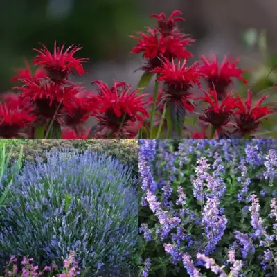 Комплект АРОМАТНЫЙ ЧАЙ в Калинковичах