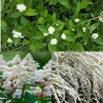 Комплект СКАНДИНАВСКИЙ СТИЛЬ в Калинковичах