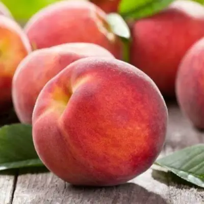 Персик МАЙСКИЙ ЦВЕТОК в Калинковичах