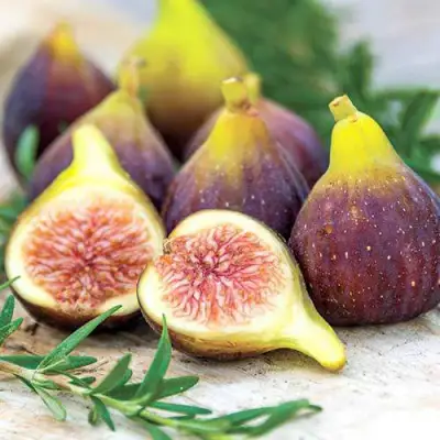 Инжир НИКИТСКИЙ в Калинковичах