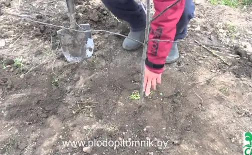 Превью видео