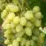 Виноград ЗАРНИЦА в Калинковичах