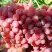 Виноград КИШМИШ КРАСНЫЙ в Калинковичах