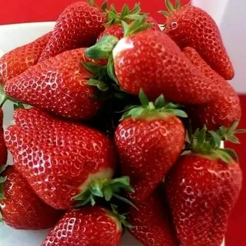 Клубника БРИЛЛА  Клубника БРИЛЛА в Калинковичах