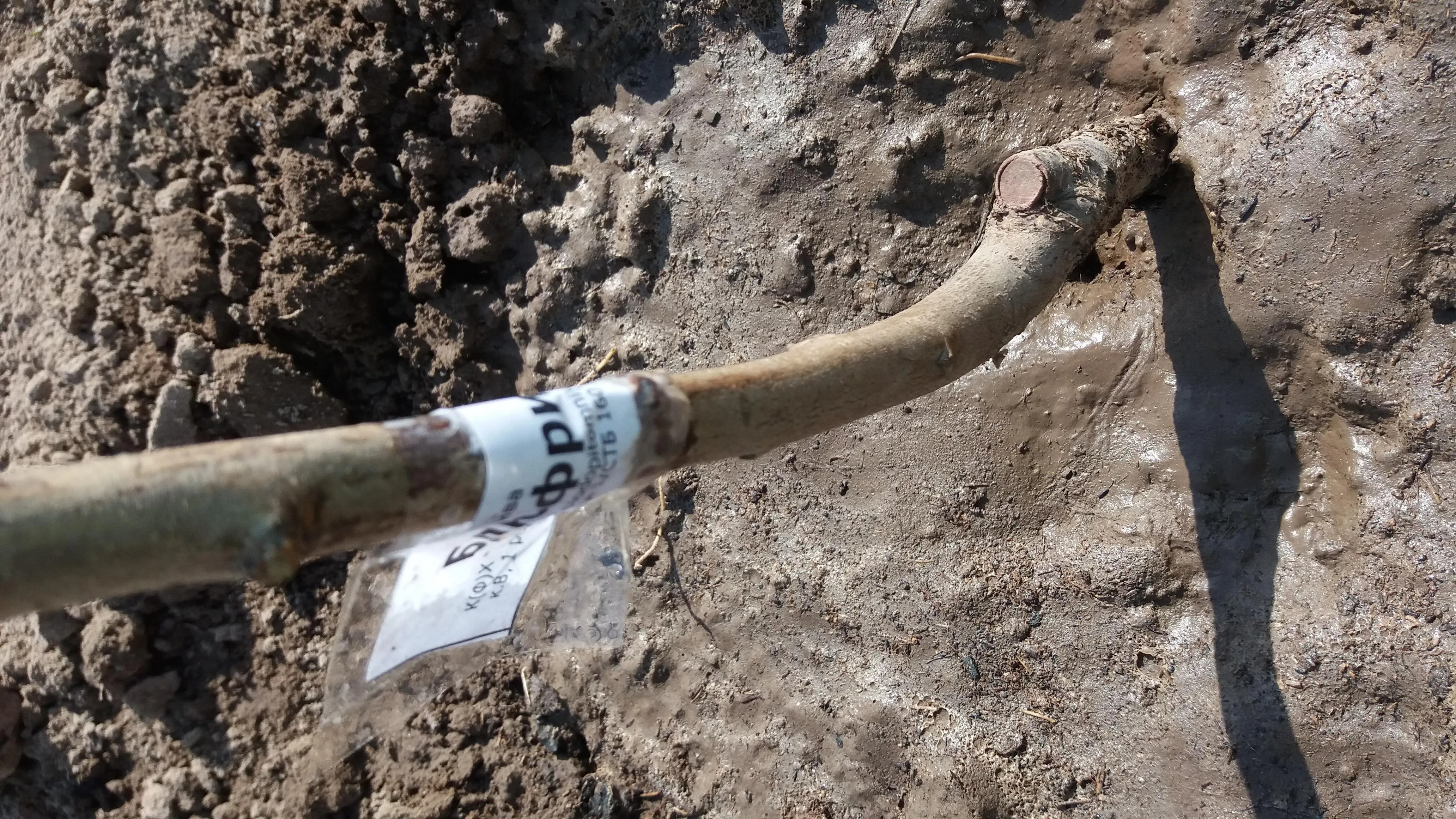 Андрэй Андрэй