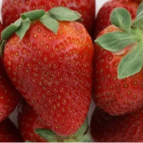 Клубника ФЛАМИНИЯ  Клубника ФЛАМИНИЯ в Калинковичах