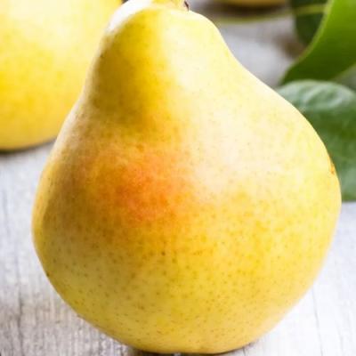 Желтая в Калинковичах