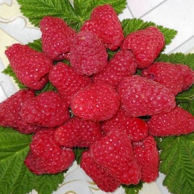 Сладкая в Калинковичах