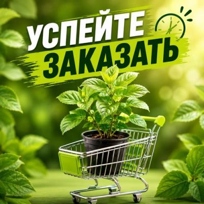 УСПЕЙТЕ ЗАКАЗАТЬ в Калинковичах