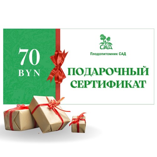 Подарочный сертификат на  70 BYN в Калинковичах