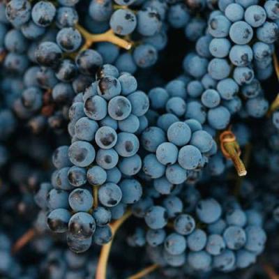 Технический в Калинковичах