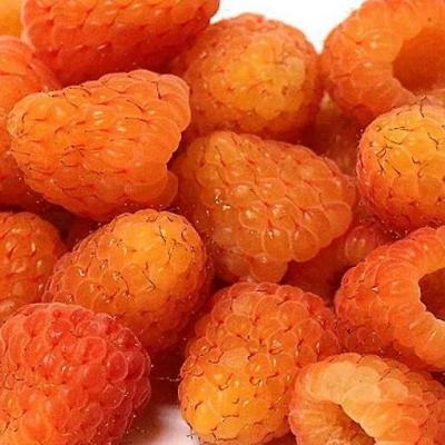 Оранжевая в Калинковичах